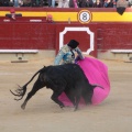 Castellón, Magdalena 2014