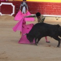 Castellón, Magdalena 2014