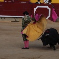 Castellón, Magdalena 2014