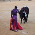 Castellón, Magdalena 2014