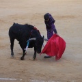 Castellón, Magdalena 2014