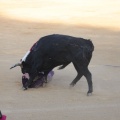 Castellón, Magdalena 2014