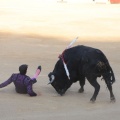 Castellón, Magdalena 2014