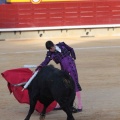 Castellón, Magdalena 2014
