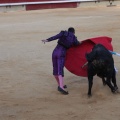 Castellón, Magdalena 2014