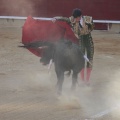 Castellón, Magdalena 2014