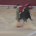 Castellón, Magdalena 2014