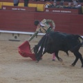 Castellón, Magdalena 2014