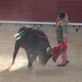 Castellón, Magdalena 2014