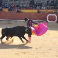 Castellón, Magdalena 2014