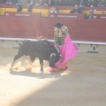 Castellón, Magdalena 2014