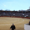 Castellón, Magdalena 2014