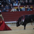 Castellón, Magdalena 2014