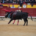 Castellón, Magdalena 2014