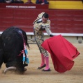 Castellón, Magdalena 2014