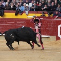 Castellón, Magdalena 2014