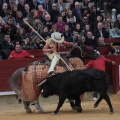 Castellón, Magdalena 2014