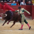Castellón, Magdalena 2014