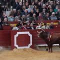 Castellón, Magdalena 2014