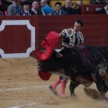 Castellón, Magdalena 2014