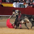 Castellón, Magdalena 2014