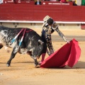 Castellón, Magdalena 2014