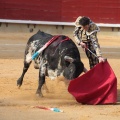 Castellón, Magdalena 2014