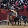 Castellón, Magdalena 2014