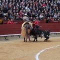 Castellón, Magdalena 2014