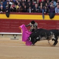 Castellón, Magdalena 2014