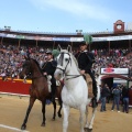 Castellón, Magdalena 2014