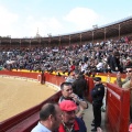 Castellón, Magdalena 2014