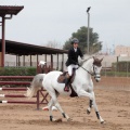Concurso Nacional de Salto
