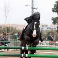 Concurso Nacional de Salto