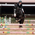 Concurso Nacional de Salto
