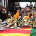 Concurso Nacional de Salto