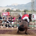 Concurso Nacional de Salto