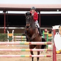 Concurso Nacional de Salto