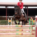 Concurso Nacional de Salto