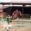Concurso Nacional de Salto
