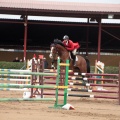 Concurso Nacional de Salto