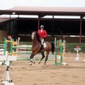 Concurso Nacional de Salto