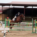 Concurso Nacional de Salto