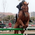 Concurso Nacional de Salto