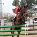 Concurso Nacional de Salto