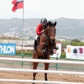 Concurso Nacional de Salto