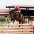 Concurso Nacional de Salto