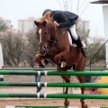Concurso Nacional de Salto