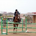 Concurso Nacional de Salto