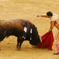 Magdalena 2014